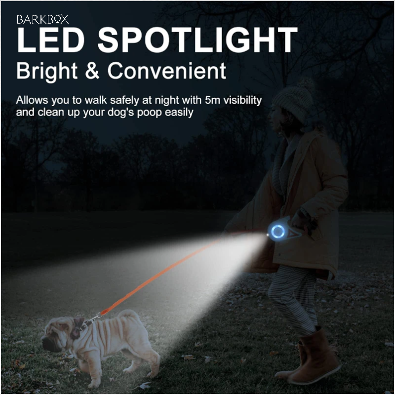 EcoTrail LED Dog Leash